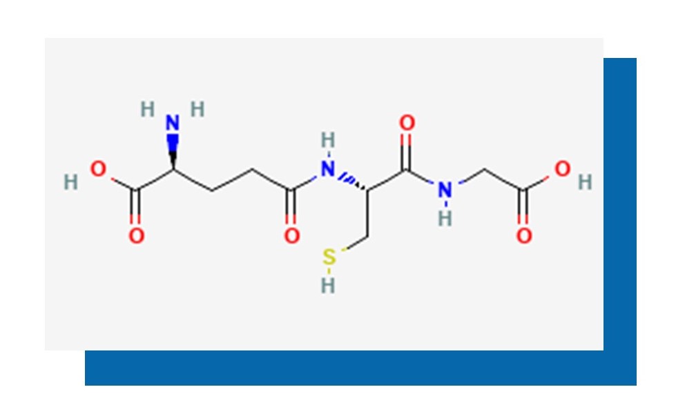 Glutathione: The Master Antioxidant